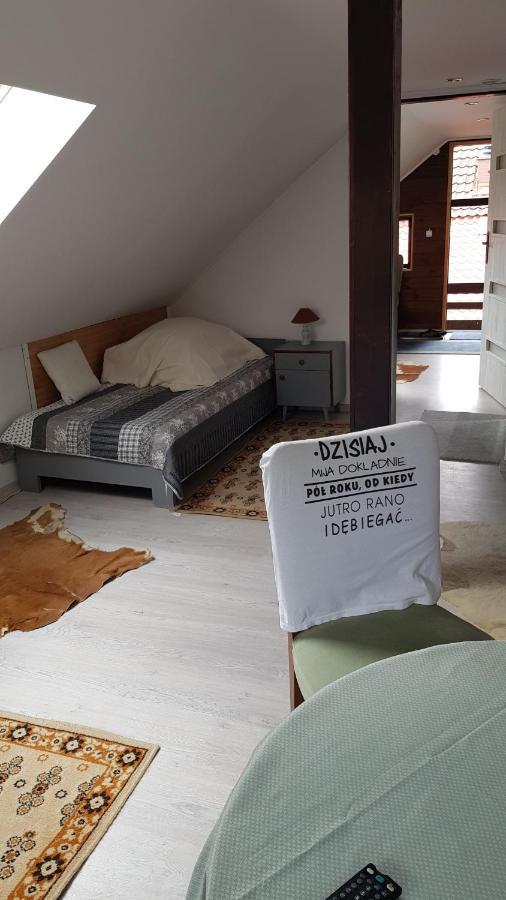 Turystyczny Apartament Na Poddaszu Skoczów Exterior foto