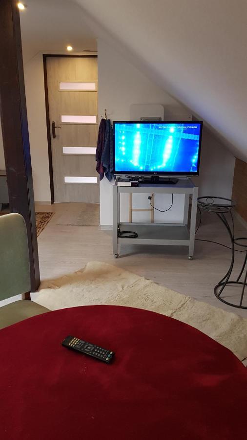 Turystyczny Apartament Na Poddaszu Skoczów Exterior foto