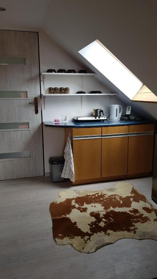 Turystyczny Apartament Na Poddaszu Skoczów Exterior foto